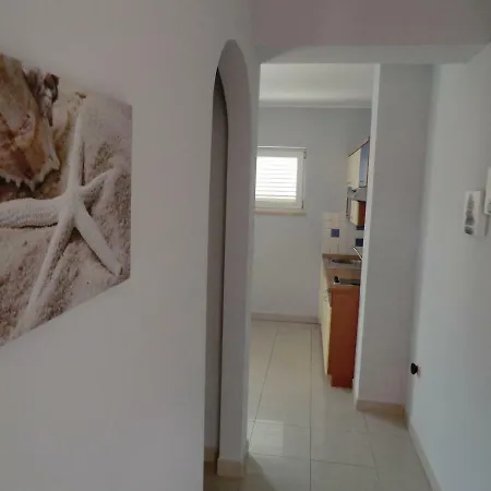 Ankica 公寓 沃迪切